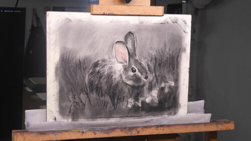 Charming Charcoal Bunny