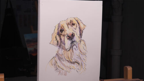 Pen & ink with colored pencil drawing of a golden retriever