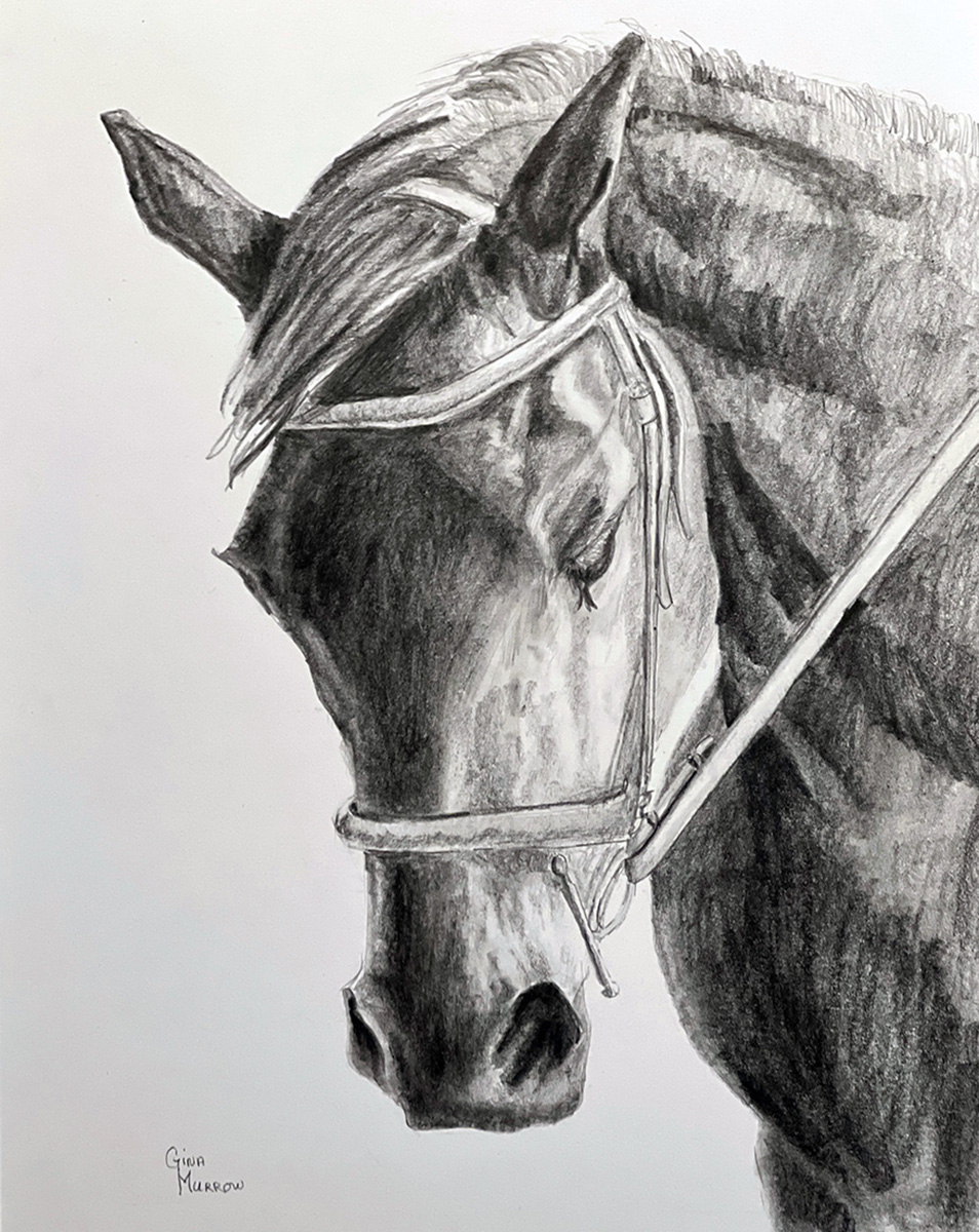 Horse graphite drawing.